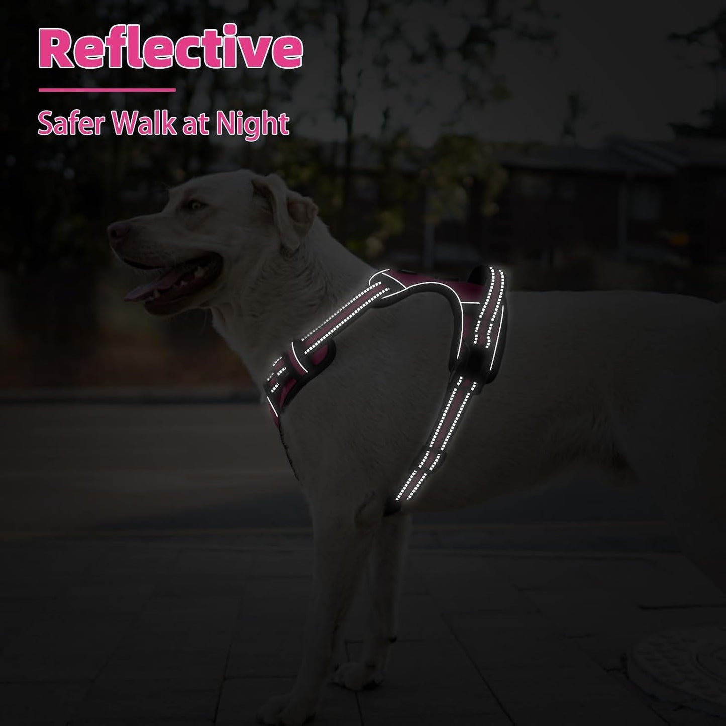 PUPTECK No Pull Dog Harness for Large, Adjustable Reflective Dog Harness with Handle Easy Control, Comfortable Soft Padded Pet Vest Harness for Extra Large Dogs, Fuschia XL