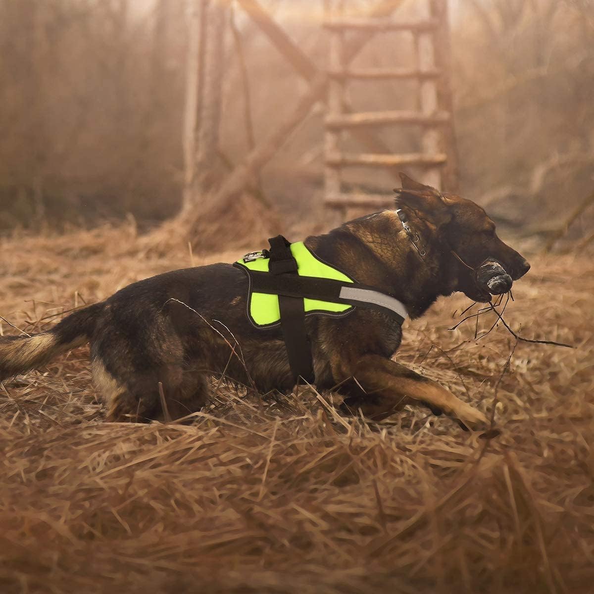 Bolux Dog Harness, No-Pull Reflective Dog Vest, Breathable Adjustable Pet Harness with Handle for Outdoor Walking - No More Pulling, Tugging or Choking Small (Pack of 1) Green