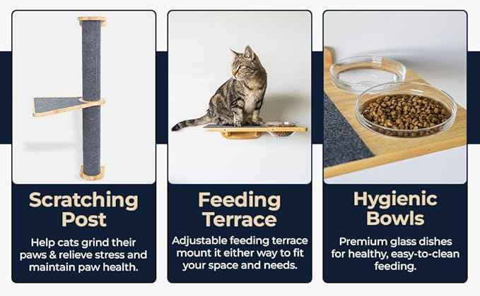 Cat Wall Shelves – Cat Wall Climber with Cat Scratch Post, Removable Bed, Climbing Steps, and Feeding Terrace with Glass Bowls, Waterproof Rubberwood Pet Furniture