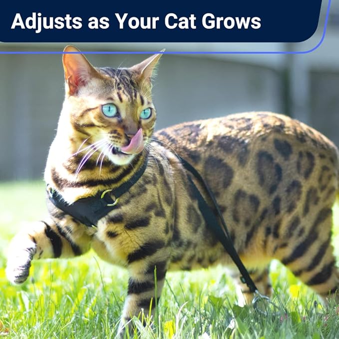 Houdini™ Escape Proof Cat Harness and Leash Set by OutdoorBengal for Walking Cats and Kittens (Leather, Large Cat)