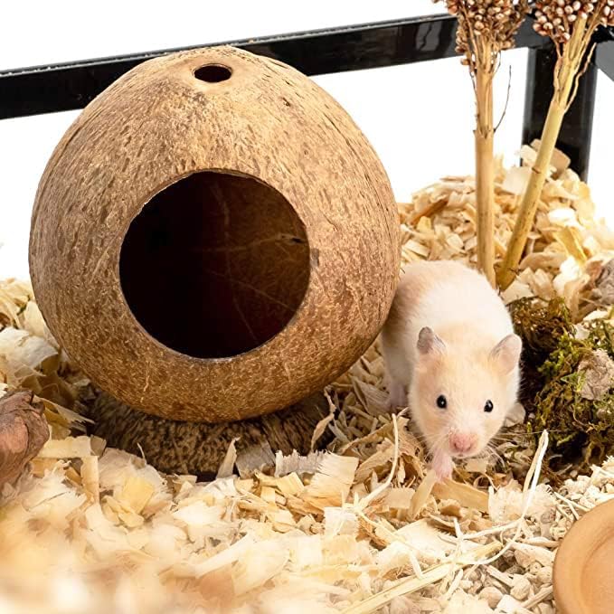 Coconut Hamster Hideout Hamster House Gerbil Cage for Small Animals with a Bundle of Apple Sticks a Carrot (Brown)