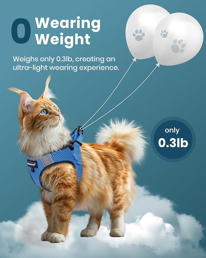 FAYOGOO Cat Harness, Cat Leash and Harness Set for Walking Escape Proof, Harness for Small Cats/Small Dogs, Large Kitten/Puppy Harness and Leash, Harness for Cats S-XXL(Tranquil Teal, Medium)
