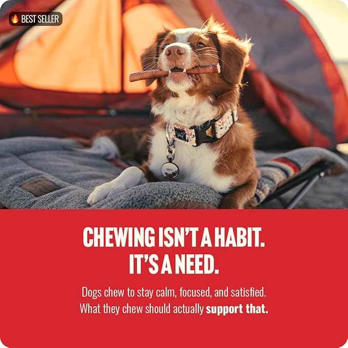 Natural Farm Odor Free Jumbo Bully Sticks (6 Inch, 12 Pack), Extra-Thick Dog Treats – Fully Digestible 100% Beef Treats, Natural Dental Chews – Keep Your Dog Busy with 50% Longer Lasting Chews