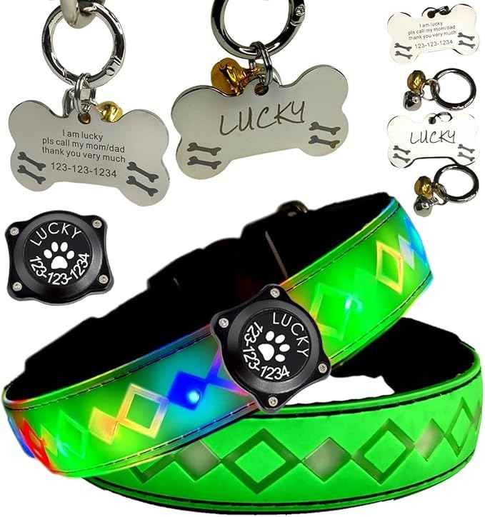 LED Dog Collar with AirTag Holder and Custom ID Tag, 15 Light Modes, Waterproof, Multiple Colors (Green Pro, XL(19.7-23.6"))