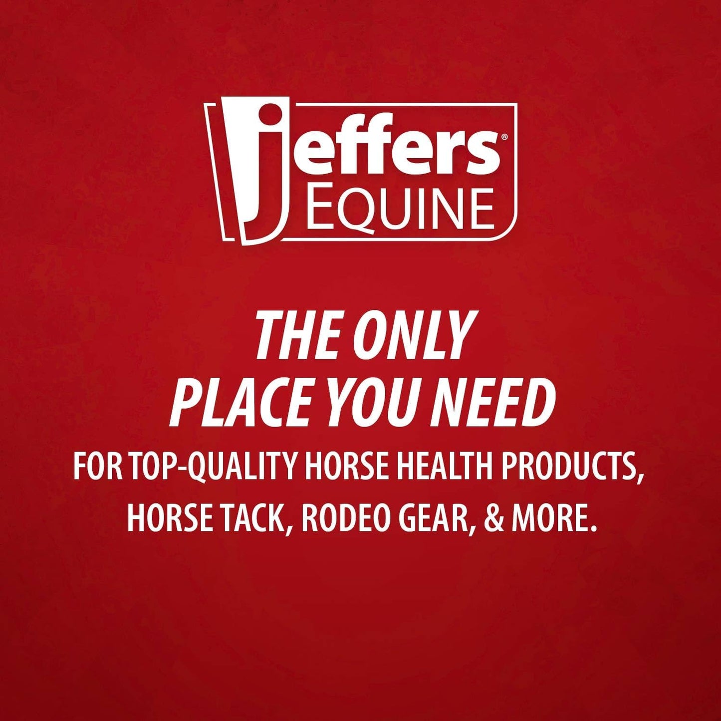 Jeffers Expression Neon Horse Boots 1 Pair - Purple & Pink, Breathable Neoprene, Secure Strap Closures, Durable Premium Protection for Jump Training & Trail Riding - Front & Hind, Large Size