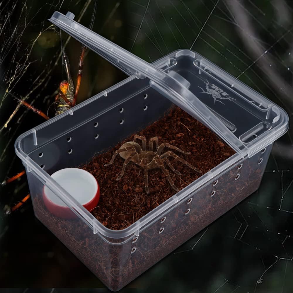 5 Pcs Spider Small Terrariums Breeding Box Transparent Hatching Container Plastic Feeding Box for Small Reptile Spider Scorpion Centipede Insect - FurryFun