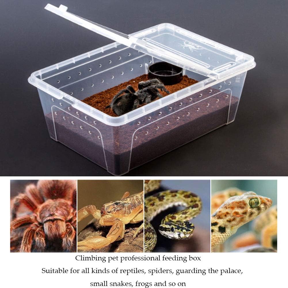 2 PCS Reptile Feeding Box Lizard Tarantula Habitat Cage Hatching Container Snake Breeding Box Transparent Portable Plastic Mini Pet Houses for Scorpion Spider Frog - FurryFun