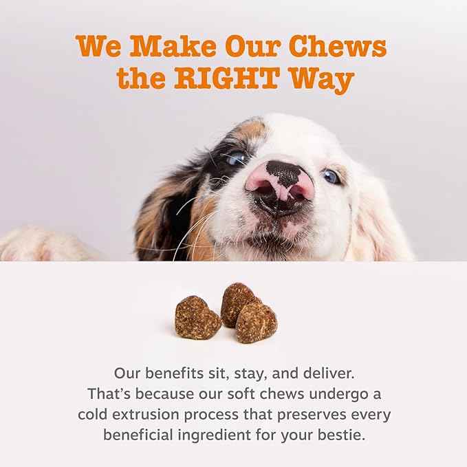 Zesty Paws Dog Allergy Relief Chews, Dog Probiotics for Itchy Skin and Ears, Lamb, 250ct (Pack of 2)