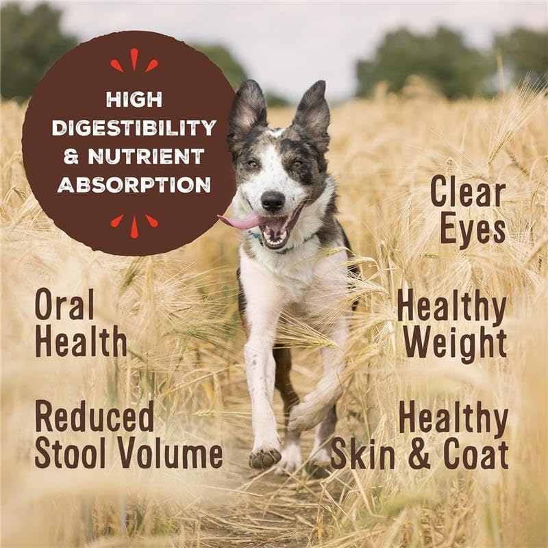 Primal Freeze Dried Raw Dog Food Nuggets, Lamb, Complete & Balanced Meal, Also Use as Topper or Treat, Premium, Healthy, Grain Free, High Protein Raw Dog Food, 14 oz (Pack of 4)