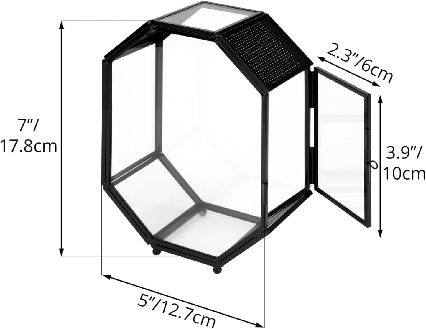 NCYP Mini Glass Terrarium with Vent and Door for Succulents Plants, Jumping Spiders, Insect - Octagon Small Closed Geometric Enclosure, Black Indoor Tabletop Decor, 5 x 2.3 x 7 Inches (Terrarium Only) - FurryFun