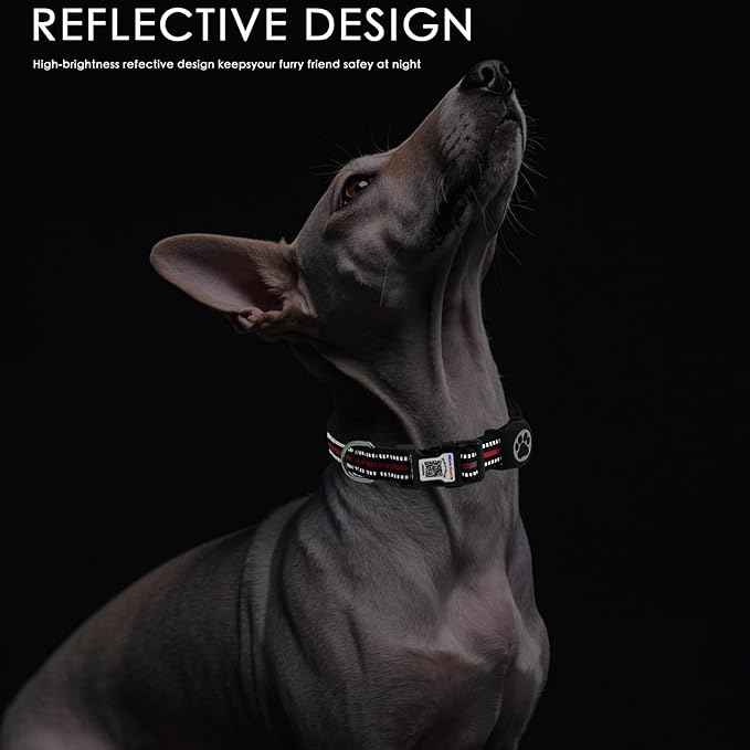 Airtag Dog Collar with QR Code Tag - Reflective Adjustable Nylon Collar, Quick Release Buckle for Small Medium Large Dogs, Comfortable Padded Lining (Red, S)
