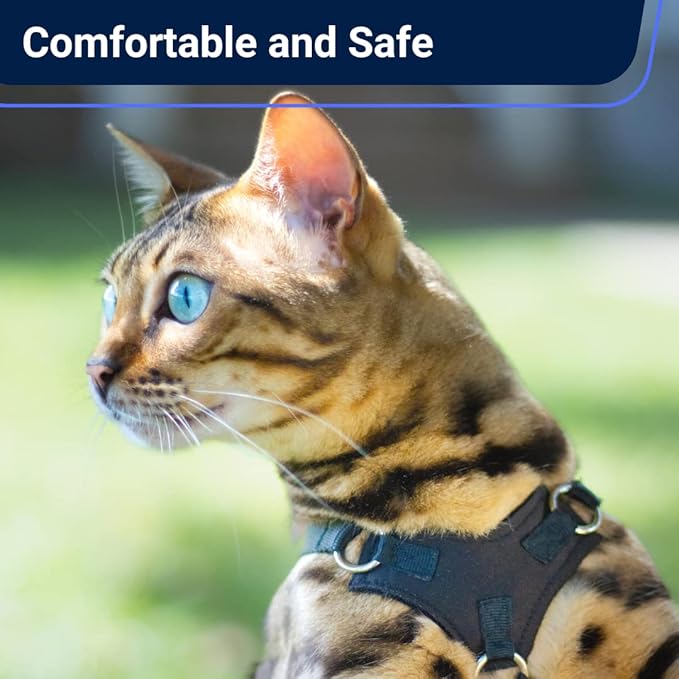 Houdini™ Escape Proof Cat Harness and Leash Set by OutdoorBengal for Walking Cats and Kittens (Leather, Large Cat)