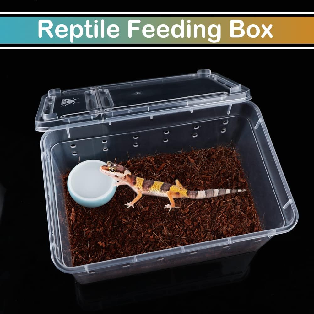 5 Pcs Spider Small Terrariums Breeding Box Transparent Hatching Container Plastic Feeding Box for Small Reptile Spider Scorpion Centipede Insect - FurryFun