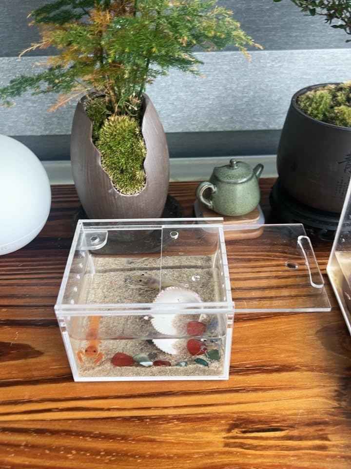 Insect breeding Box Reptile Feeding Box, Waterproof Enclosure Enclosure for arboreal Tarantula Scorpion Sling Lizards Snake Gecko Jumping Spider Snail Isopods (3.9 * 3.3 * 2.3inch)
