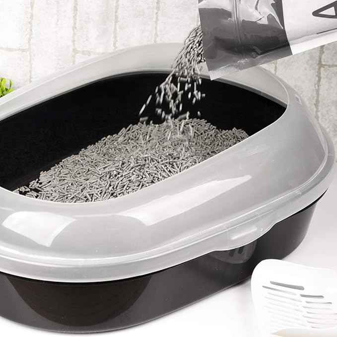 I AM TOFU - Natural Flushable Tofu Cat Litter, Low Dust Lightweight Clumping Litter, Odor Control (10 lb Bag, Charcoal)