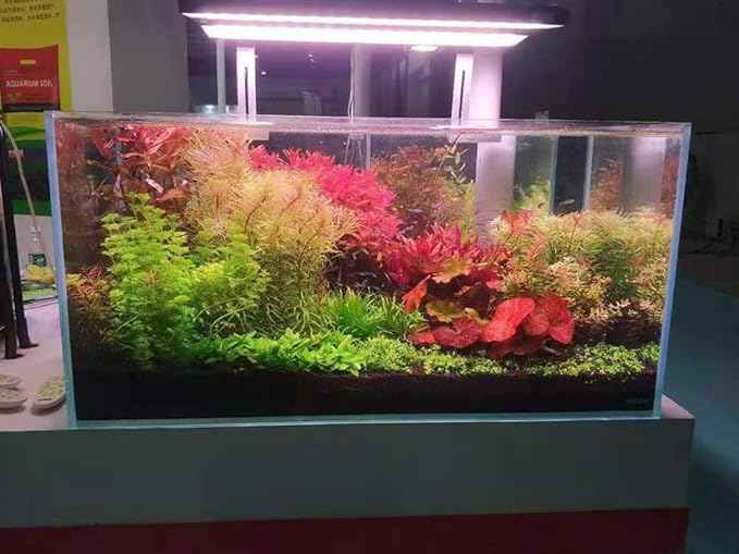 Ultra Clear Rimless Aquarium Tank 6-60 gallons Low Iron Glass (38Gal - Anti-Jumping net)