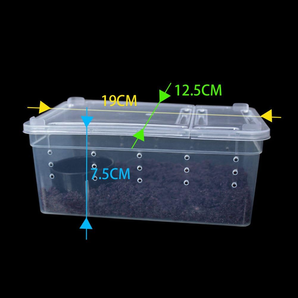 OMEM Portable Reptile Terrarium Habitat for Mini Pet Houses Breathable Holes Stackable Container (XS) - FurryFun