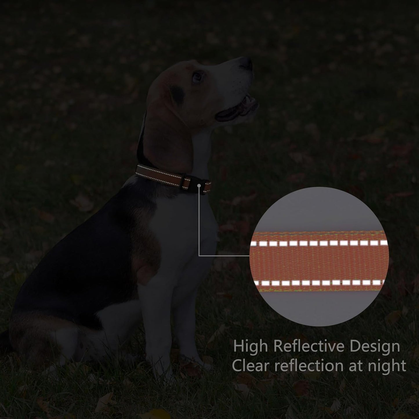 Reflective Dog Collar Padded with Soft Neoprene Breathable Quick Release Basic Dog Collars for Puppy Small Dogs Orange