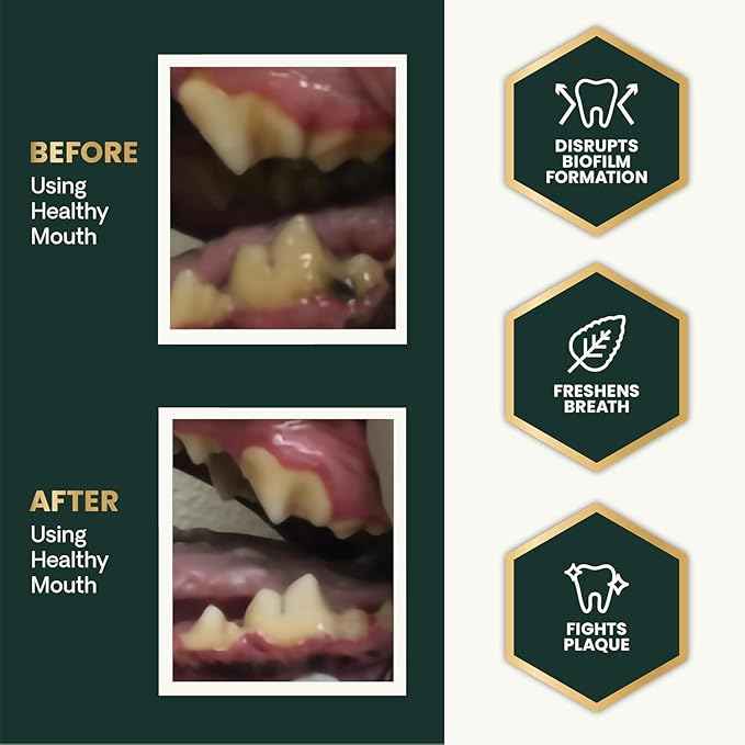 VetriScience Healthy Mouth Dog Dental Powder, 2 Pack – Helps Reduce Plaque & Tartar Buildup, Support Clean Teeth & Fresh Breath, Vet-Formulated Oral Care Powder for Dogs & Cats, 2 x 4.2 oz