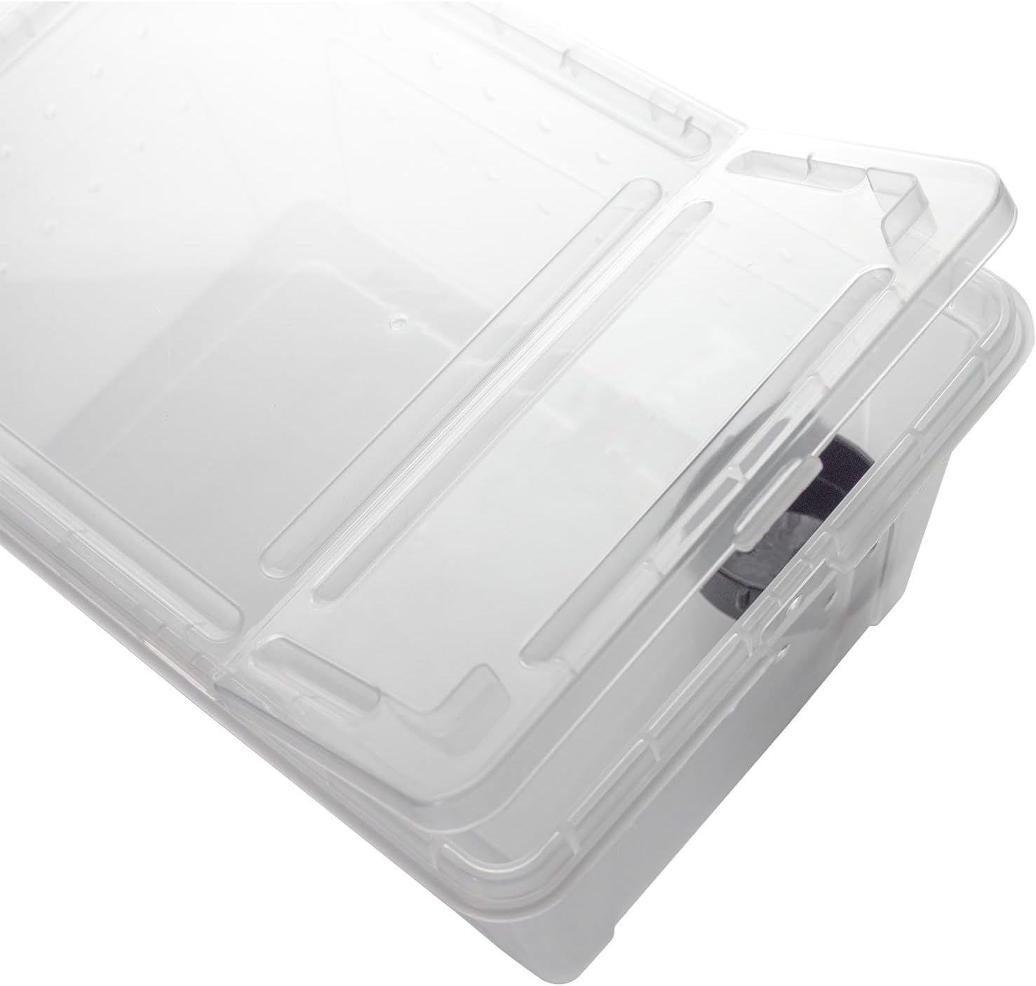 OMEM Portable Reptile Terrarium Habitat for Mini Pet Houses Breathable Holes Stackable Container (2PCS-L) - FurryFun