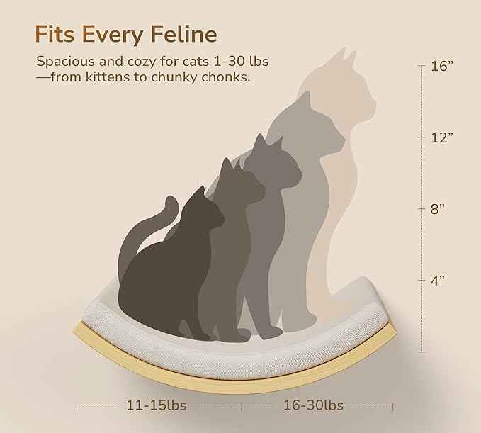 Cat Wall Shelves with Cats Window Perch – 4-Piece Wooden Cat Climbing Furniture Set with Soft Foam Curved Bed, Flat Shelf & 2 Wall 4-Steps Ladders