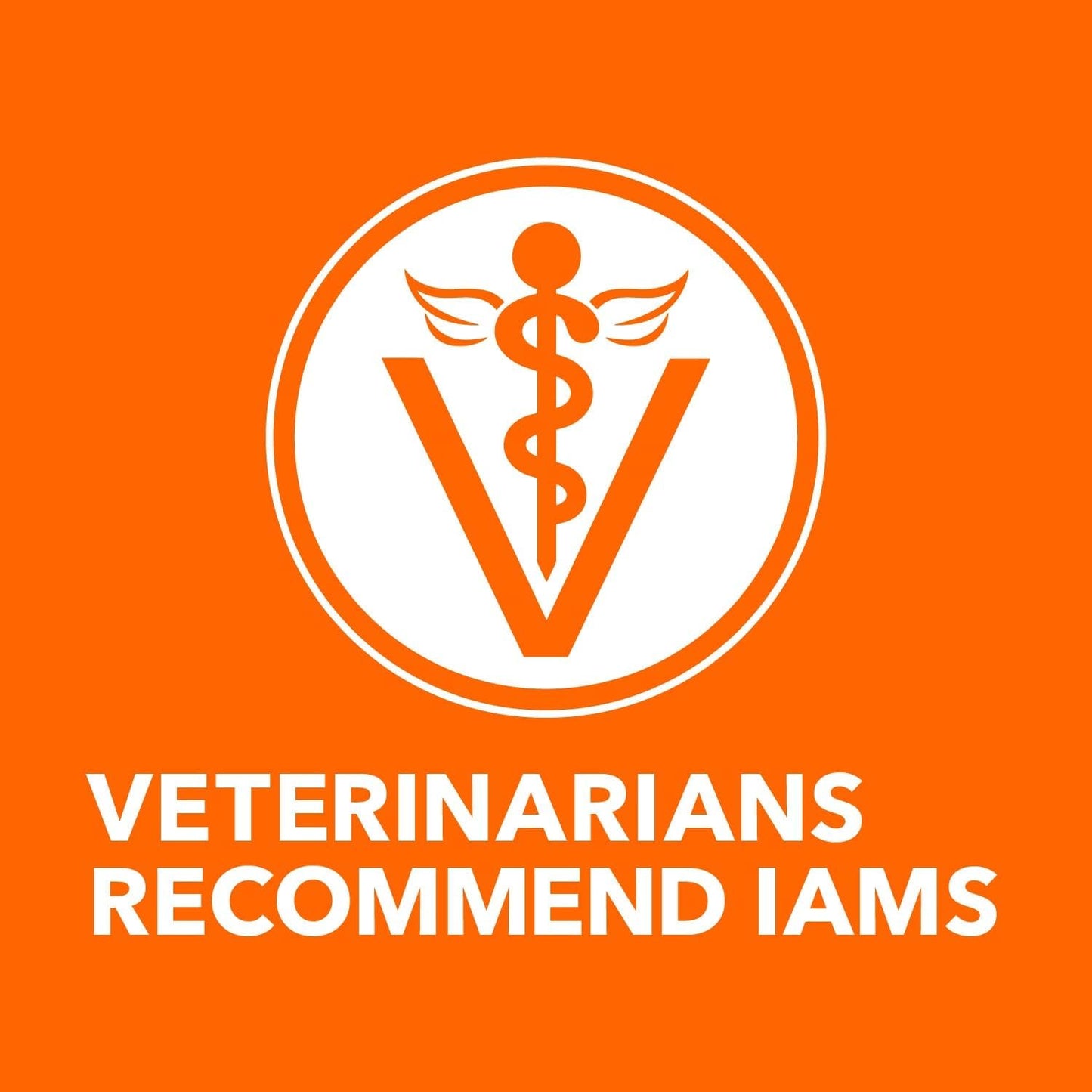 IAMS Proactive Health Adult Healthy Dry Cat Food with Chicken, 3.5 lb. Bag