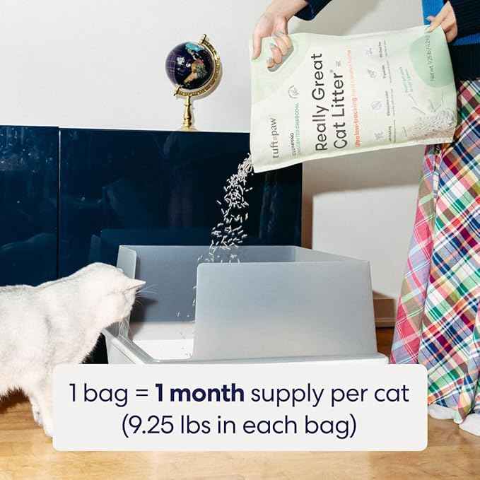 Tuft & Paw Really Great Cat Litter, Ultra Low Tracking Tofu Cat Litter, Clumping, Flushable, Odor Control, Dust-Free, Unscented - 9.25lbs x 2Bags (Charcoal)