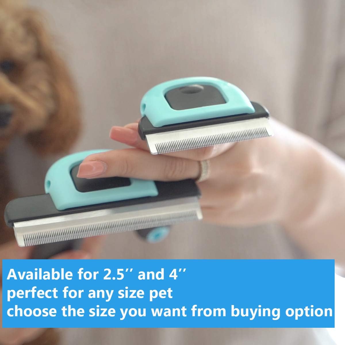 Cat Brush & Cat Comb for Shedding, 2.5inch Blue - Hair Brush for Long Hair and Short Hair, Pet Grooming Tool for Small to Medium Dogs and Cats, Detangle, Eco Friendly, Weekly Grooming