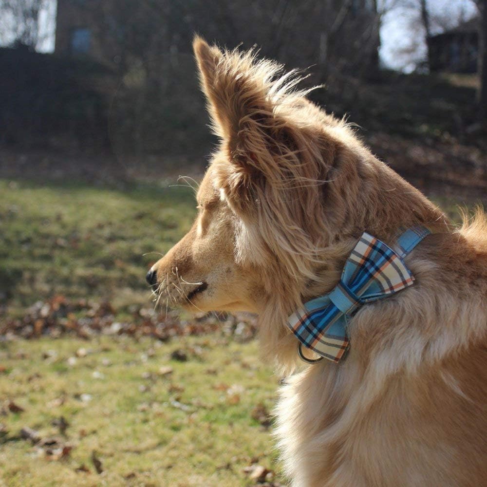 Lionet Paws Boy Dog Collar with Bowtie, Comfortable Adjustable Cute Blue Plaid Bow Tie Collar for Male Puppies and Cats Gift, XS, Neck 8-12 inches