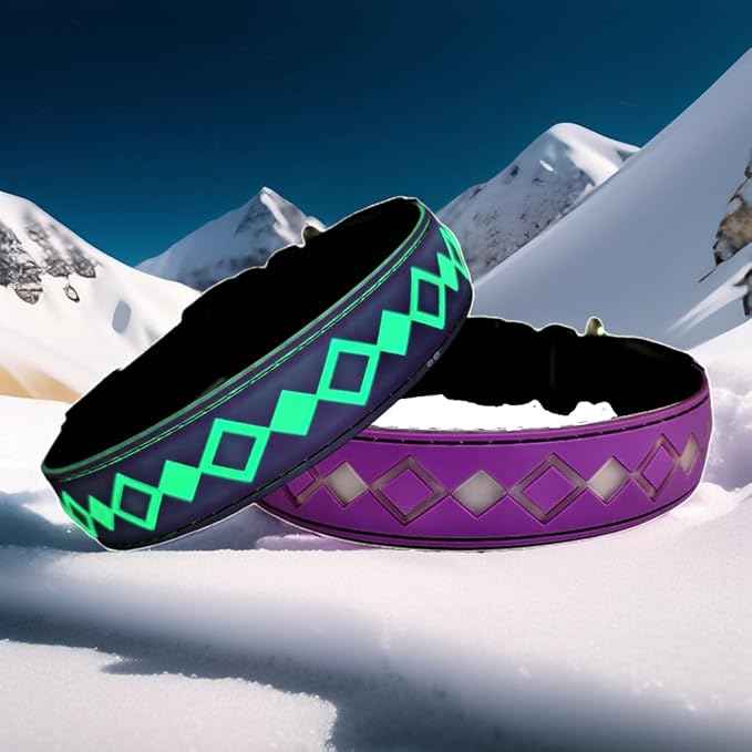 LED Dog Collar with AirTag Holder and Custom ID Tag, 15 Light Modes, Waterproof, Multiple Colors (PURPLE, L(15.7-19.7"))