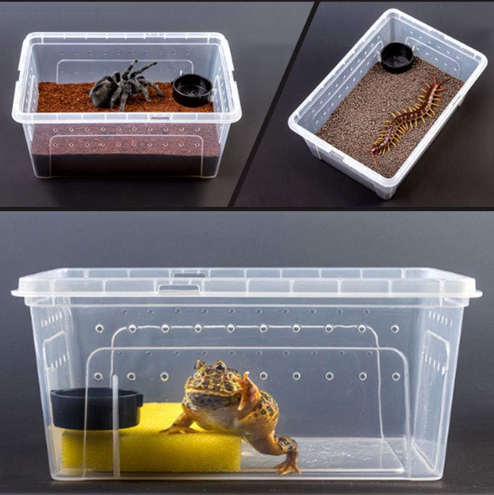 2 PCS Reptile Feeding Box Lizard Tarantula Habitat Cage Hatching Container Snake Breeding Box Transparent Portable Plastic Mini Pet Houses for Scorpion Spider Frog - FurryFun