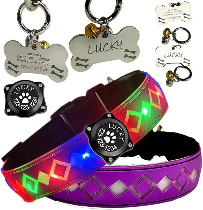 LED Dog Collar with AirTag Holder and Custom ID Tag, 15 Light Modes, Waterproof, Multiple Colors (PURPLE Pro, L(15.7-19.7"))