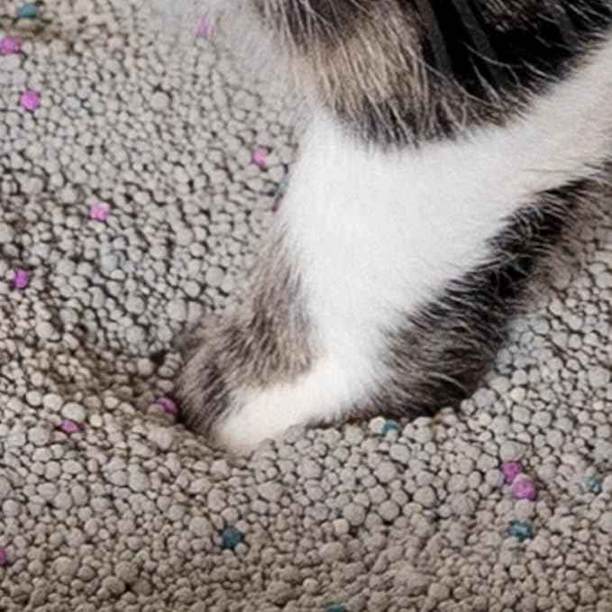 Omlet Clay Clumping Cat Litter | Long Lasting and Low Waste | Absorbent and Sustainable | Excellent Odour Control and High Absorbency | No. 4 - Clay - 17 lbs. 10 oz.