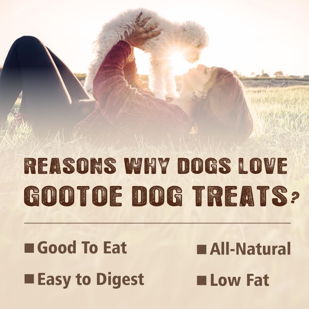 Gootoe Turkey Tendons for Dogs –All-Natural, Hypoallergenic Dog Treats, Rawhide Alternative, Long Lasting Puppy Chews, Healthy Dog Treats for Medium Breeds, Twists (M), 6 Count Pack