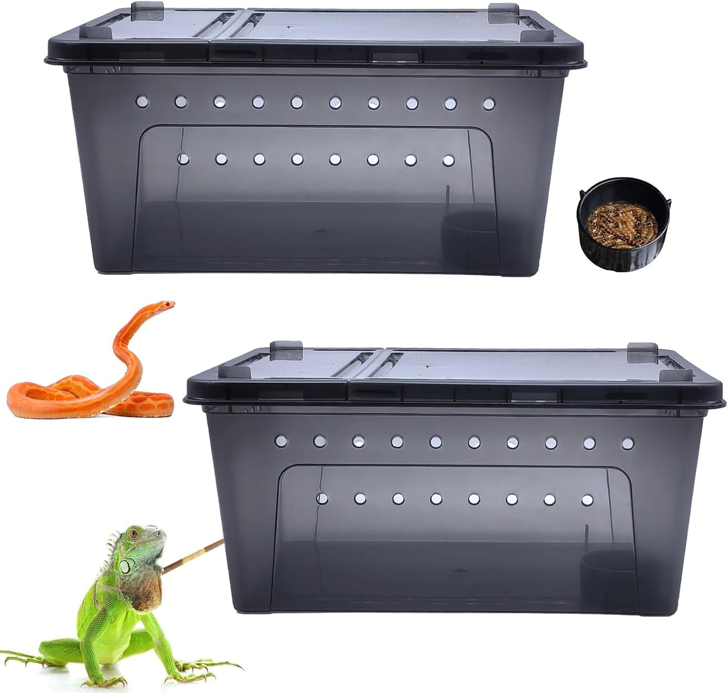 PINVNBY Reptile Enclosure Terrarium 2-Pack - 12.6"x8.7"x5.9" Multi-Purpose Transparent Plastic Habitat Cage for Gecko Scorpion Spider Snake Breeding Feeding & Cricket Keeper with Ventilated Lid, Black - FurryFun