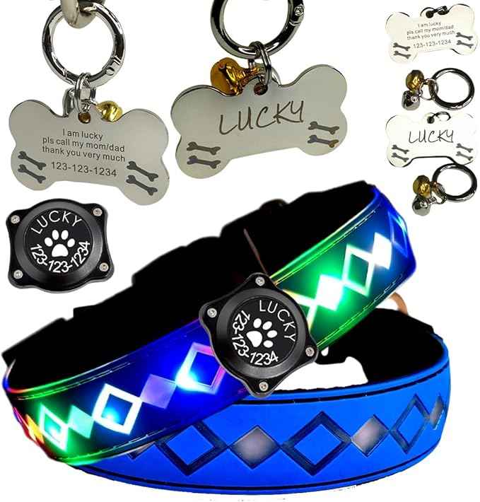 LED Dog Collar with AirTag Holder and Custom ID Tag, 15 Light Modes, Waterproof, Multiple Colors (Blue Pro, XL(19.7-23.6"))