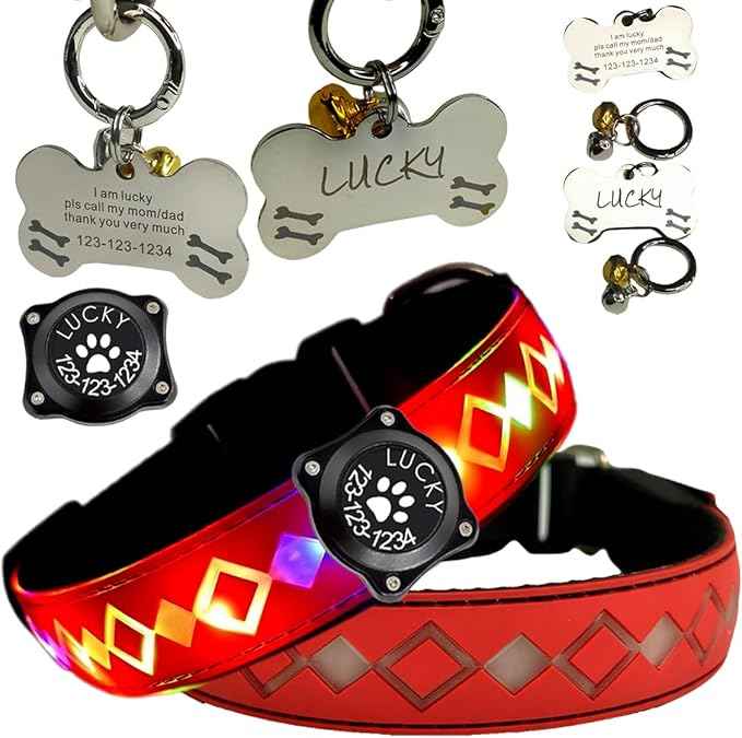 LED Dog Collar with AirTag Holder and Custom ID Tag, 15 Light Modes, Waterproof, Multiple Colors (RED Pro, M(11.8-15.7"))