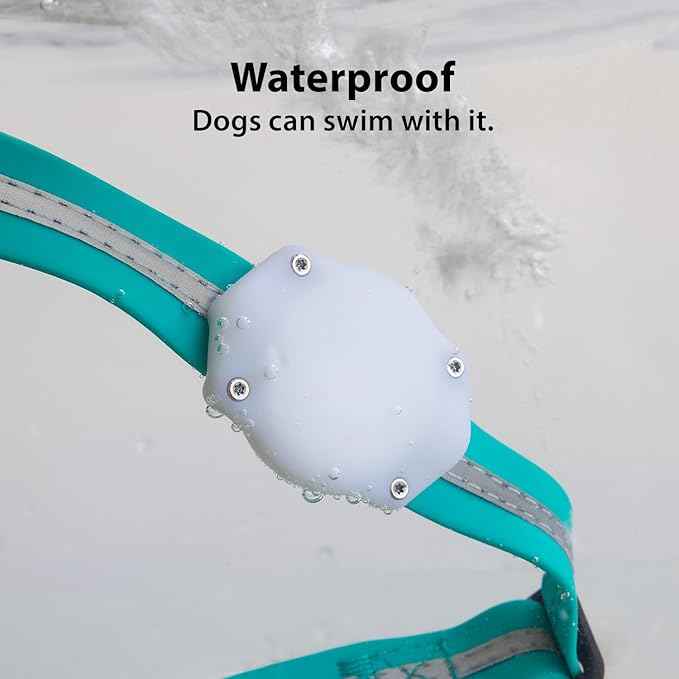 Elevation Lab AirTag Dog Collar Holder - TagVault - IP68 Waterproof, Doesn't Dangle, Fits All Width Collars Glow in The Dark (2 Pack)