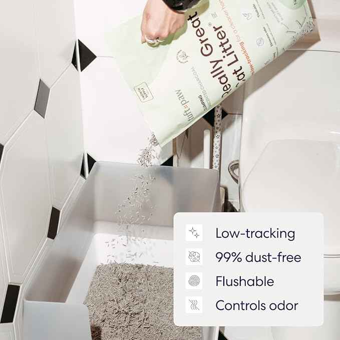 Tuft & Paw Really Great Cat Litter, Ultra Low Tracking Tofu Cat Litter, Clumping, Flushable, Odor Control, Dust-Free, Unscented - 9.25lbs x 2Bags (Charcoal)