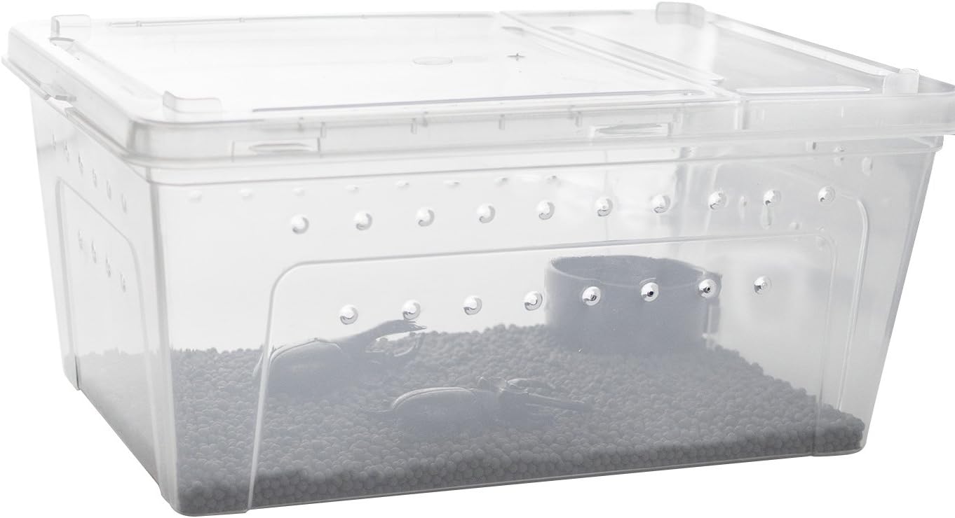 OMEM Portable Reptile Terrarium Habitat for Mini Pet Houses Breathable Holes Stackable Container (M) - FurryFun