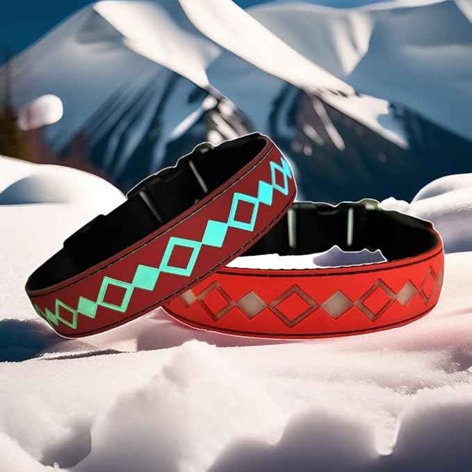 LED Dog Collar with AirTag Holder and Custom ID Tag, 15 Light Modes, Waterproof, Multiple Colors (RED, XL(19.7-23.6"))