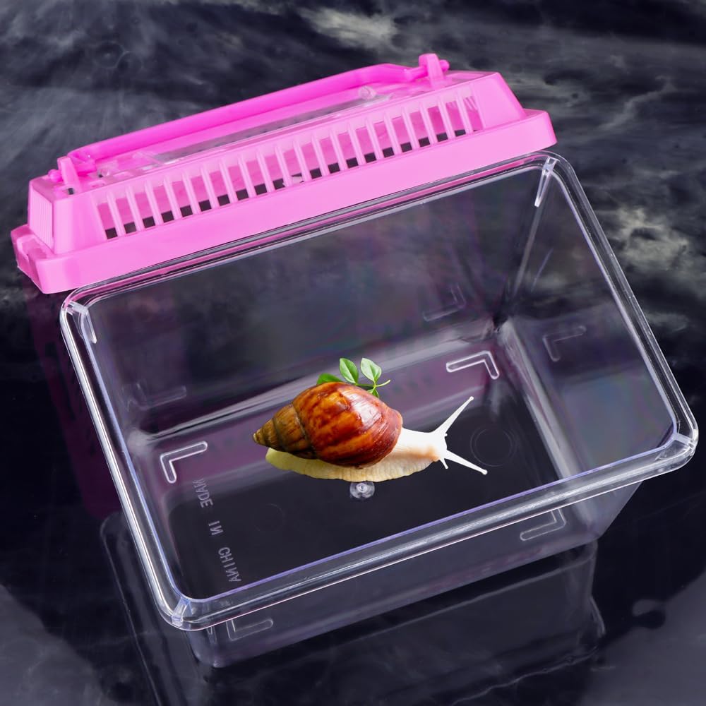 20 Pack Small Plastic Reptile Carrier Tarantula Enclosure Snake Breeding Box Hatching Container for Spider Fish Turtle Hermit Crab Bearded Dragon Lizard (5.1 x 3.5 x 3.5 Inch) - FurryFun