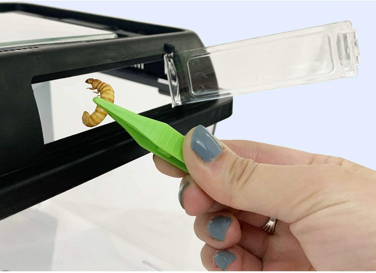 Happy Habitat (Standard) - Ventilated Enclosure & Breeder Box - for Live Feeder Insects, Reptiles, Amphibians & Other Small Pets - Durable Plastic Portable Terrarium - FurryFun