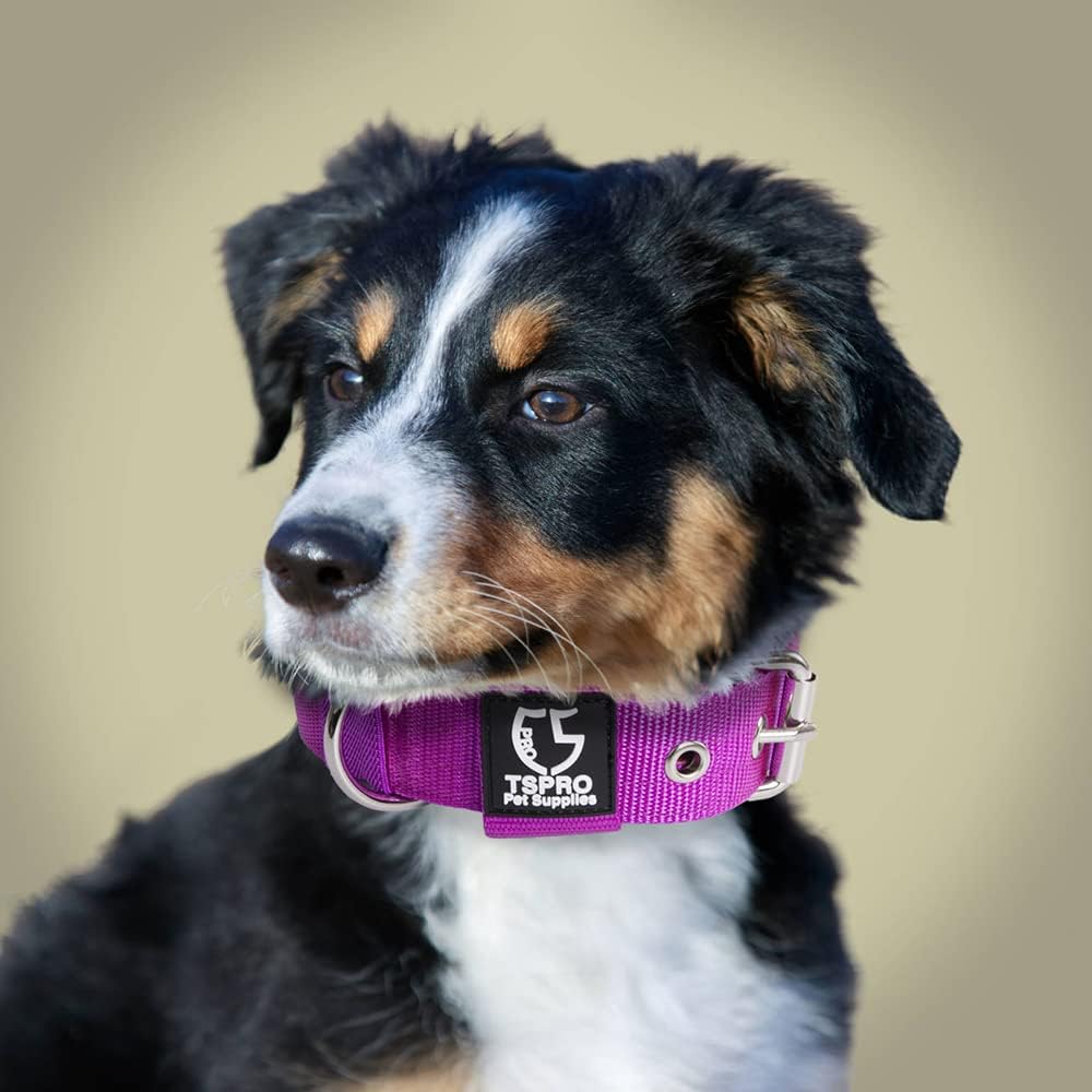 TSPRO Tactical Dog Collar 1.25 Inch Wide Thick Dog Collars with Heavy Duty Metal Buckle, Durable, Strong, Adjustable for Small Dogs (Blue S)