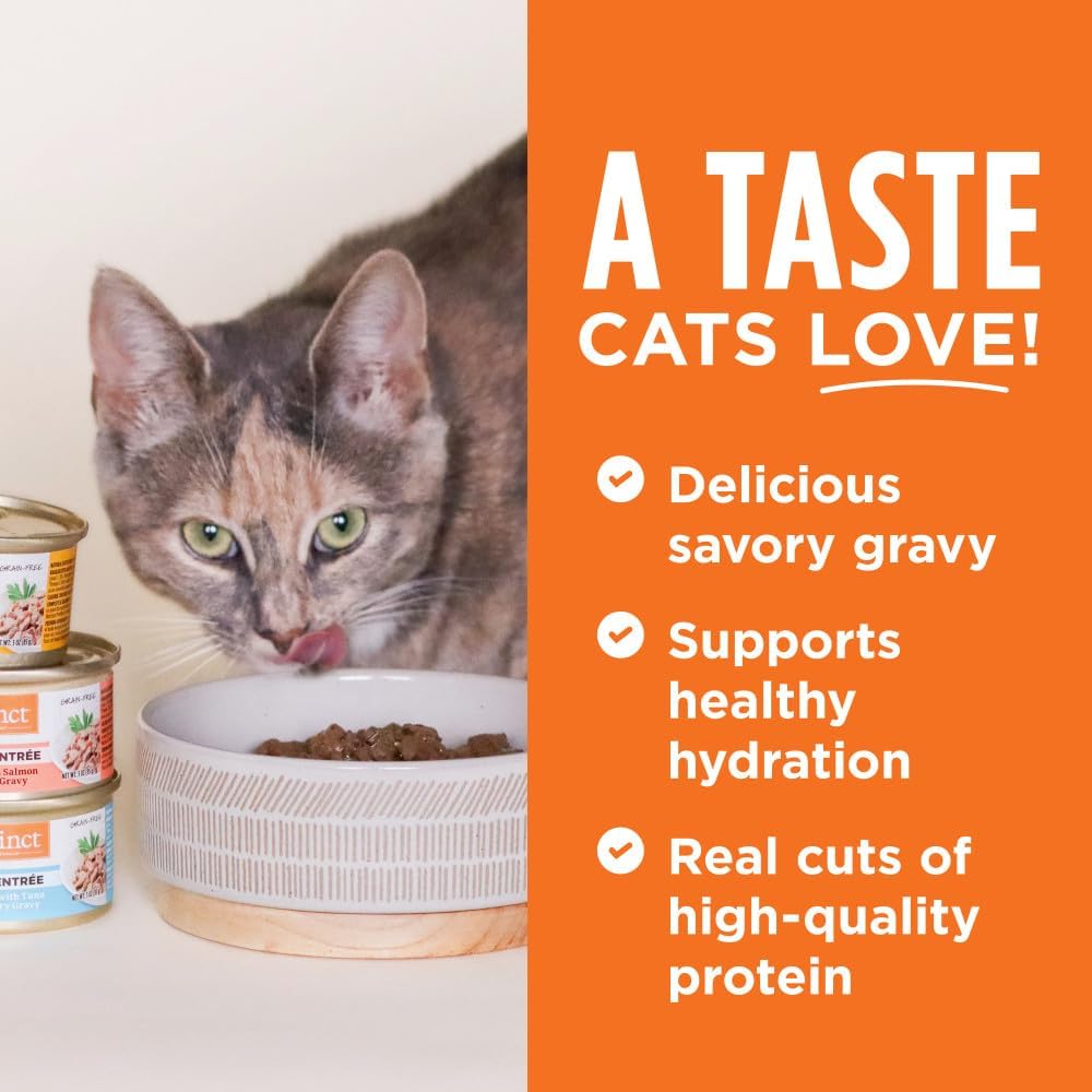 Instinct Flaked Entrée Wet Canned Cat Food - Rabbit, 3 oz. Cans (Pack of 24)
