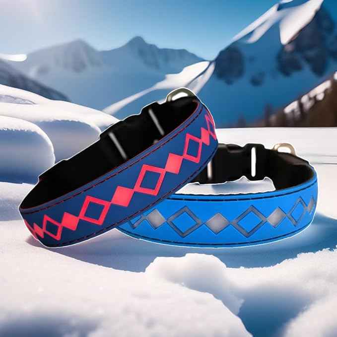 LED Dog Collar with AirTag Holder and Custom ID Tag, 15 Light Modes, Waterproof, Multiple Colors (BLUE, M(11.8-15.7"))