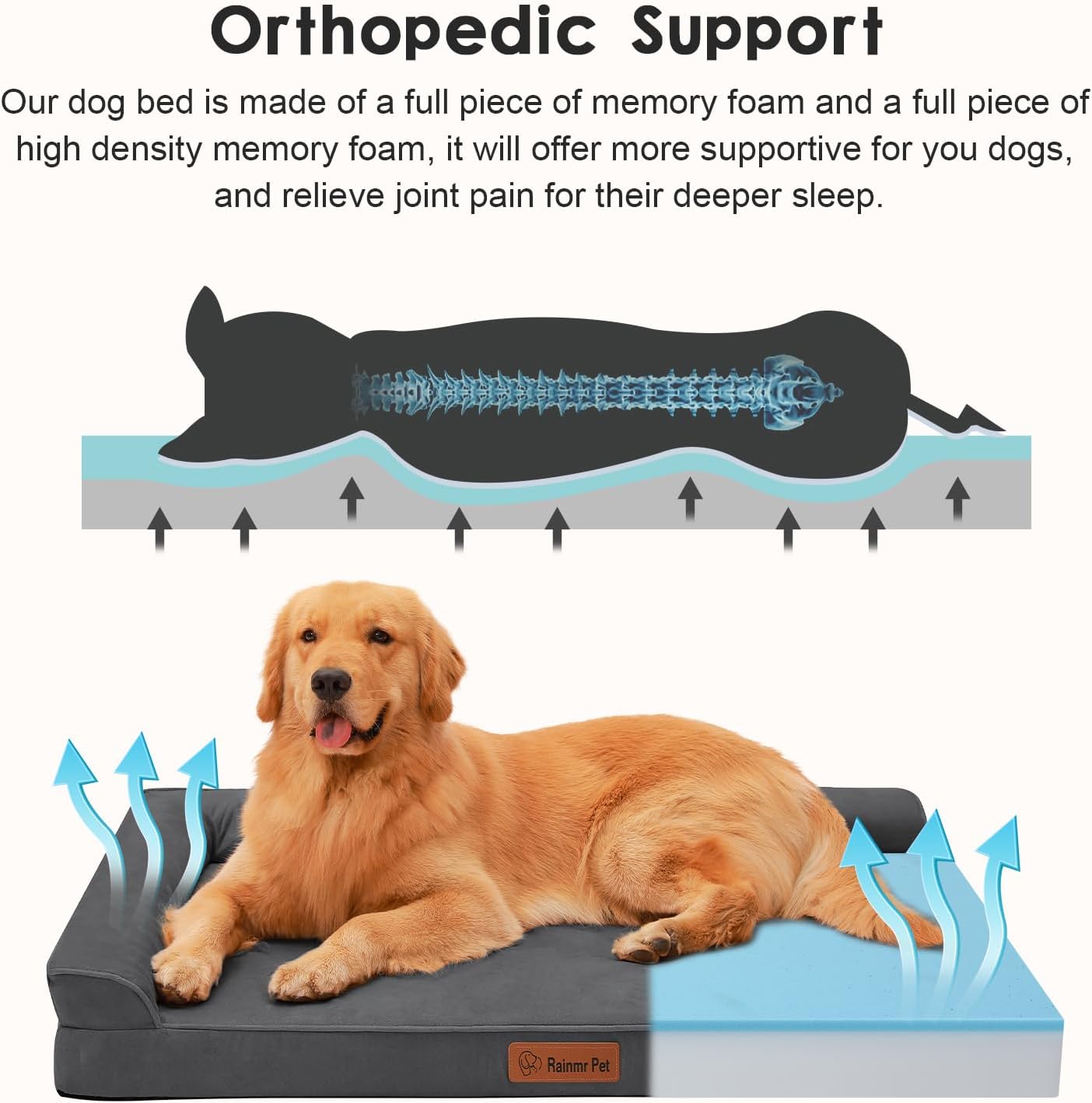 Upgraded Large Dog Bed, 3" Memory Foam with Waterproof Liner, Chew Resistant Microsuede Cover, Removable and Washable, for Indoor, Outdoor, and Car Use, Nonskid Base, 44x32, XXL Dark Grey