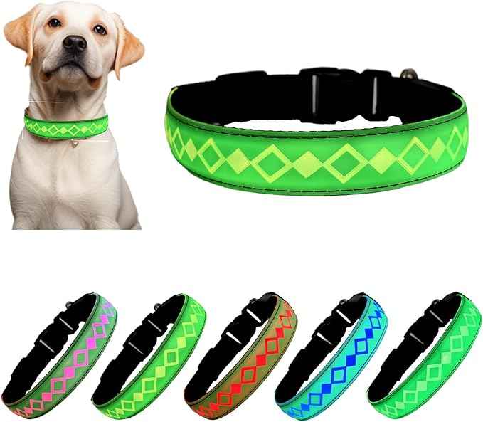LED Dog Collar with AirTag Holder and Custom ID Tag, 15 Light Modes, Waterproof, Multiple Colors (GREEN, M(11.8-15.7"))