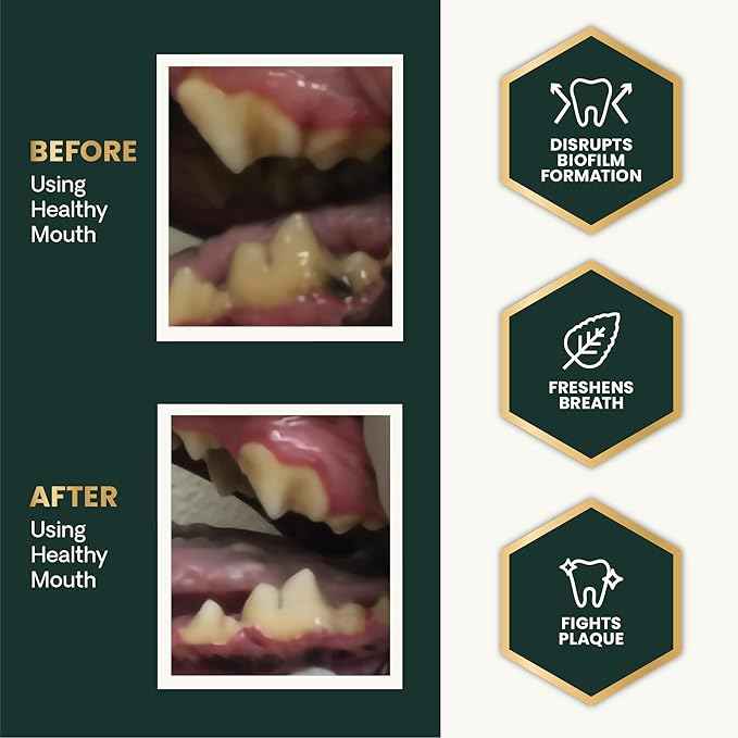 VetriScience Dental Care Powder for Dogs & Cats – Helps Reduce Plaque & Tartar Buildup, Clean Teeth & Fresher Breath, Clinically Tested, Vet-Formulated Oral Supplement, 4.2 oz