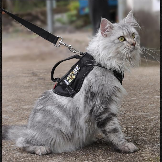 Cat Harness and Leash Set for Walking Escape Proof Adjustable Reflective Large Cat Tactical Harness with Patches Breathable Summer Vest Soft Mesh Padding Handle Easy to Control (Black, M)
